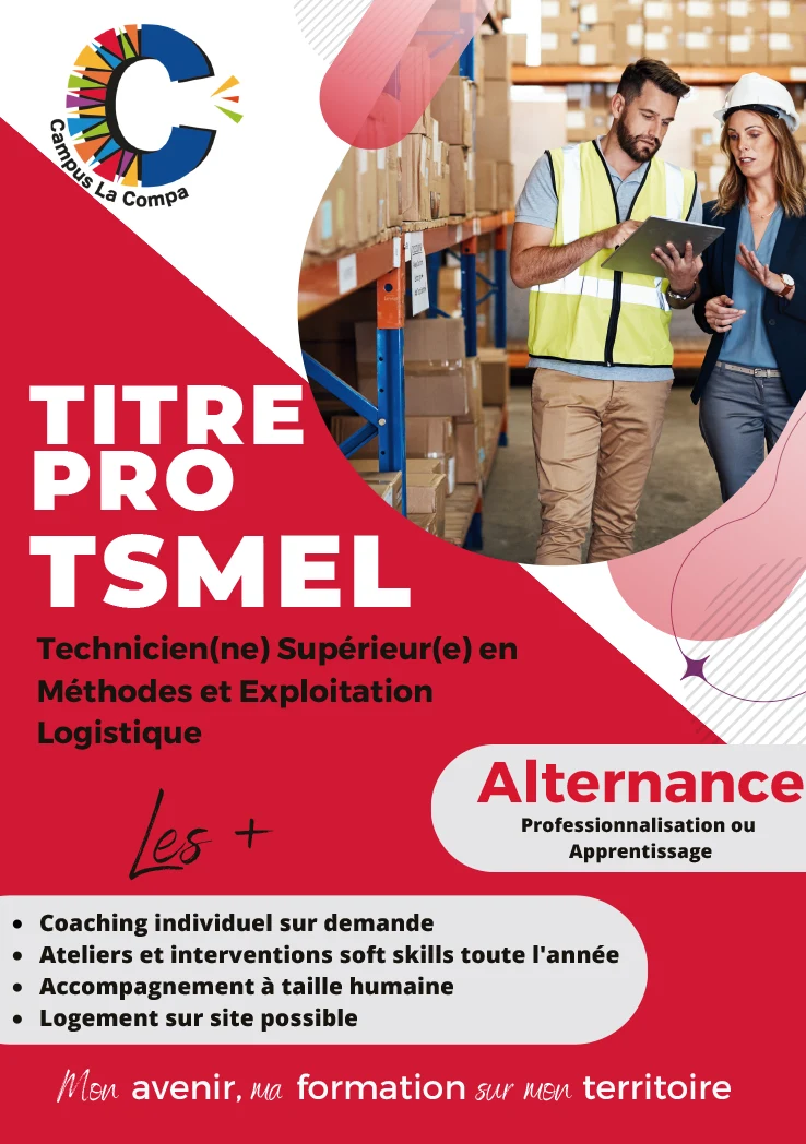 Titre Pro TSMEL